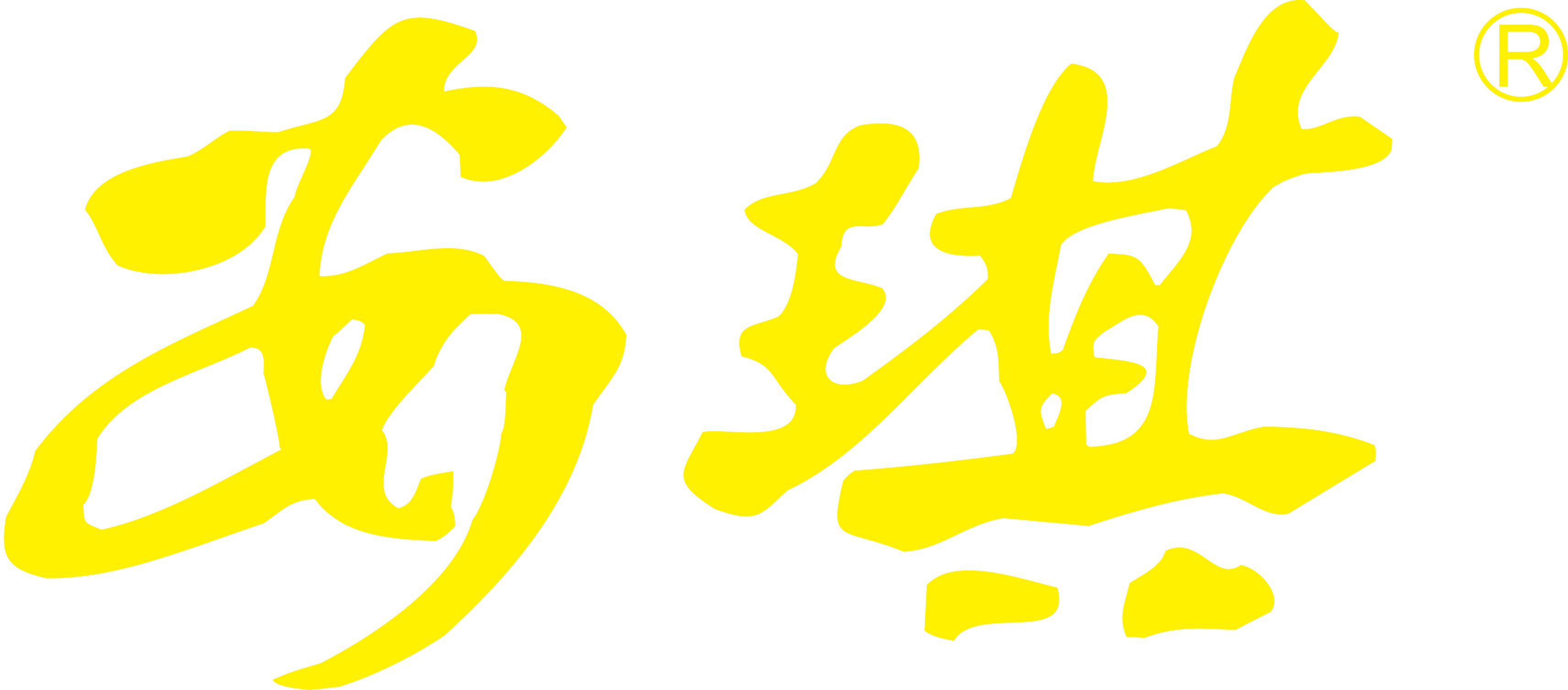 深圳市安琪食品发展有限公司